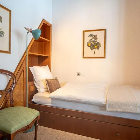 公寓 Penthouse-apartment Haus Attila 采尔马特